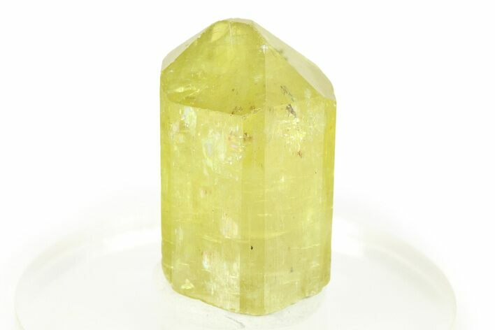 Gemmy Yellow-Green Apatite Crystal - Morocco #276511